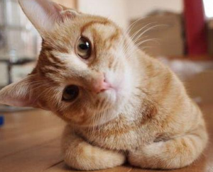 うつ伏せで寝ると便秘に効果