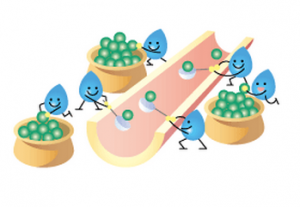 菊芋の効能効果インスリン