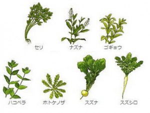 春、七草、種類