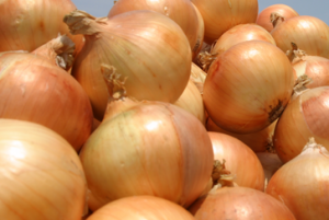 玉ねぎ、目、痛くならない方法、硫化アリル