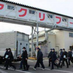 衝撃!また農薬混入事件 今回は冷凍食品マラチオン入りコロッケ【まとめ】