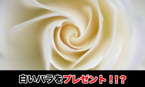 父の日の時期は？その由来について母の日 同様に花をプレゼント？