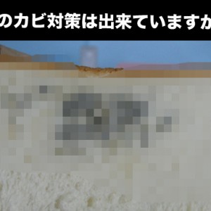 ジメっとした梅雨に一番気をつけてほしいカビへの対策と掃除