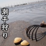 意外と知らない潮干狩りでアサリが取れる時期は？毒貝などの注意