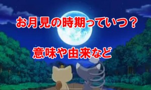 お月見の時期っていつ？2014お月見をする意味や由来は？