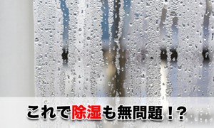 梅雨などの湿気対策や部屋でも出来る除湿方法とは何か？