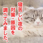 夏の寝苦しい夜への対策と原因を調べてみました。