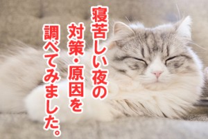 夏の寝苦しい夜への対策と原因を調べてみました。