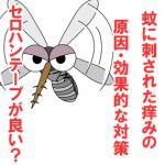 蚊に刺された痒みの原因や効果的な対処は?セロハンテープとマニキュア液が良い?