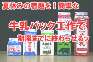【簡単】夏休みの宿題が終わらないと言う前に！牛乳パック工作で期限までに終わらせる！【動画あり】
