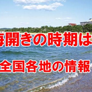 夏の定番 海開きとは何か?2014年 沖縄や各地の海開きの時期は?