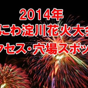 淀川花火大会2014年の日程と穴場で見やすいところは?