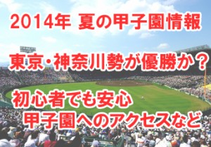 2014年 高校野球は8月9日開幕！東京・神奈川勢が優勝？初心者の為情報や甲子園球場へのアクセスなど