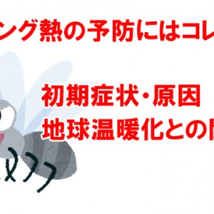 デング熱の予防にはコレ!地球温暖化が関係してる?|初期症状や原因など