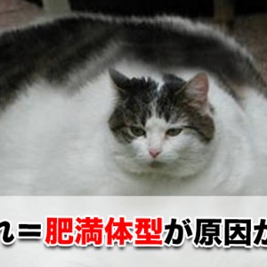 股ずれを起こすのは太っているだけではナイ!?原因や治し方など