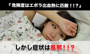 MERSコロナウイルス感染症|エボラ出血熱と同じ危険度！？しかし症状は風邪？