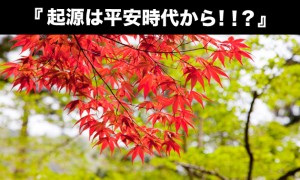 紅葉（もみじ）狩りと紅葉（こうよう）って何が違う？意味や花言葉など