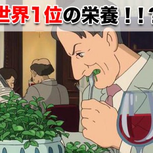 クレソンの栄養は世界1位？栽培もできレシピも豊富！サラダや他の食べ方など