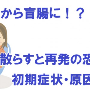 便秘から盲腸(虫垂炎)に?|薬で散らすと再発の恐れ?初期症状など