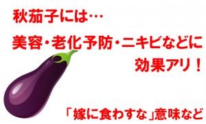 秋茄子（秋ナス）は美容・老化予防・ニキビケアに効果アリ！嫁に食わすな 意味など