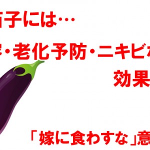 秋茄子(秋ナス)は美容・老化予防・ニキビケアに効果アリ!嫁に食わすな 意味など