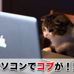 座りだこの治し方は?パソコンを座って見てる方に多い症状!?
