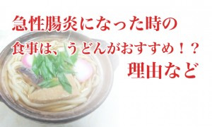 急性胃腸炎になった時の食事は！うどんがおすすめ！？
