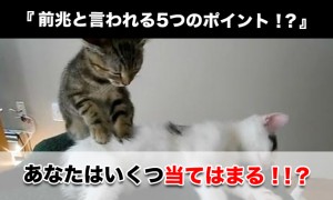 ぎっくり腰の前兆とされる5つのポイント！？いくつ当てはまる！？
