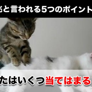 ぎっくり腰の前兆とされる5つのポイント!?いくつ当てはまる!?