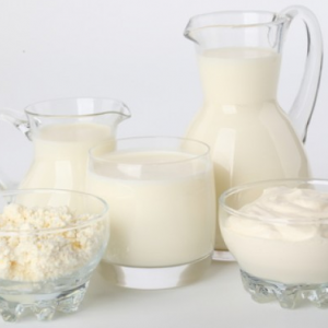 【話題】腸内フローラを怠ると肥満へ!?気になる改善方法はコレ!